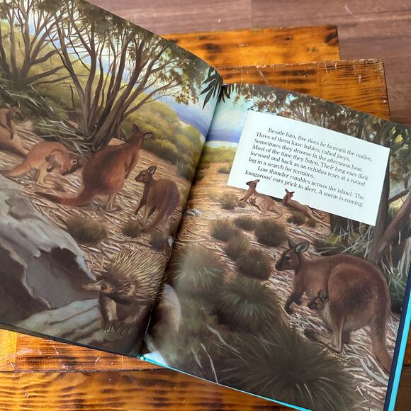 Kangaroo Island A Story Of An Australian Mallee Forest Hardcover Book - Picture 3 of 6